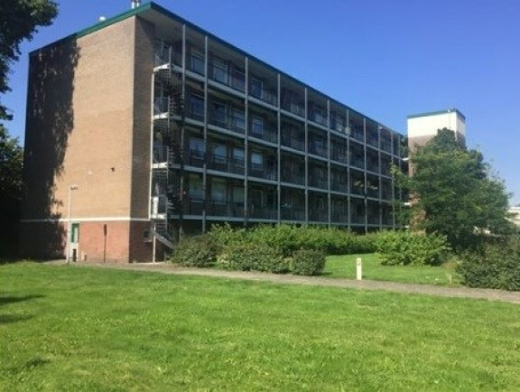Banckertlaan